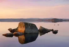 landscapes nature sweden lakes geese 1920x1200 wallpaper Art HD Wallpaper